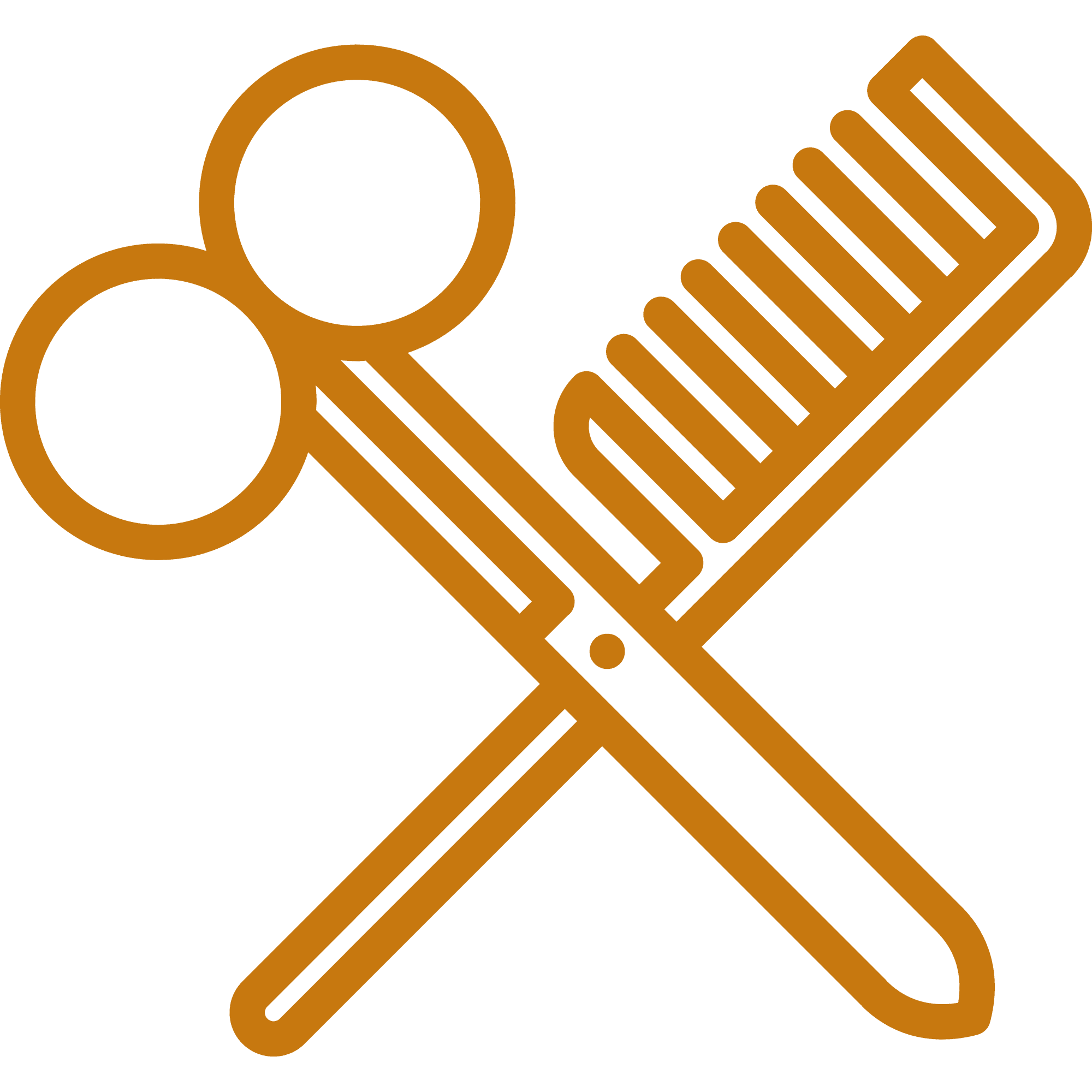 Inicio 10 iconos